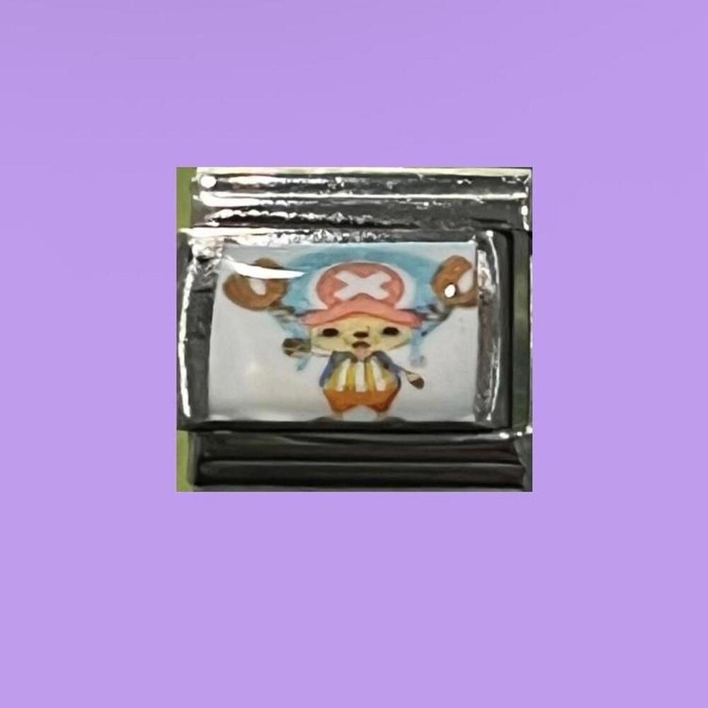 Chopper one piece charm
